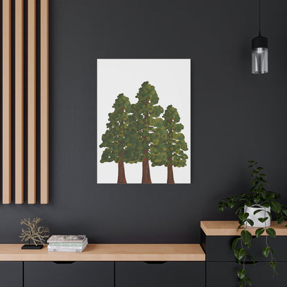 Coastal Redwood Canvas Print – Wall Art