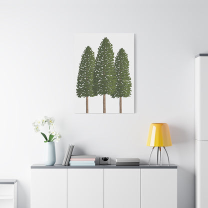 Ponderosa Pine Canvas Print – Wall Art