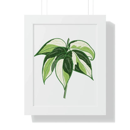 Philodendron Cream Splash Framed Print – Botanical Wall Art
