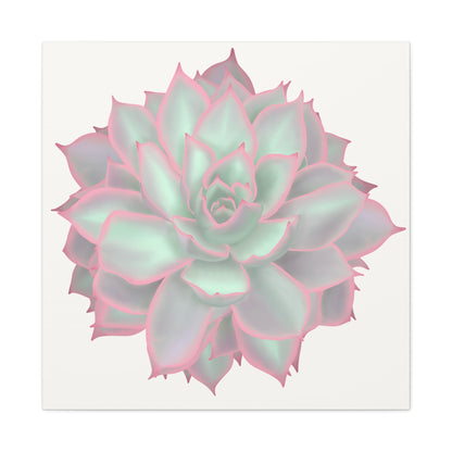 Echeveria Violet Queen Succulent Canvas Print – Botanical Wall Art