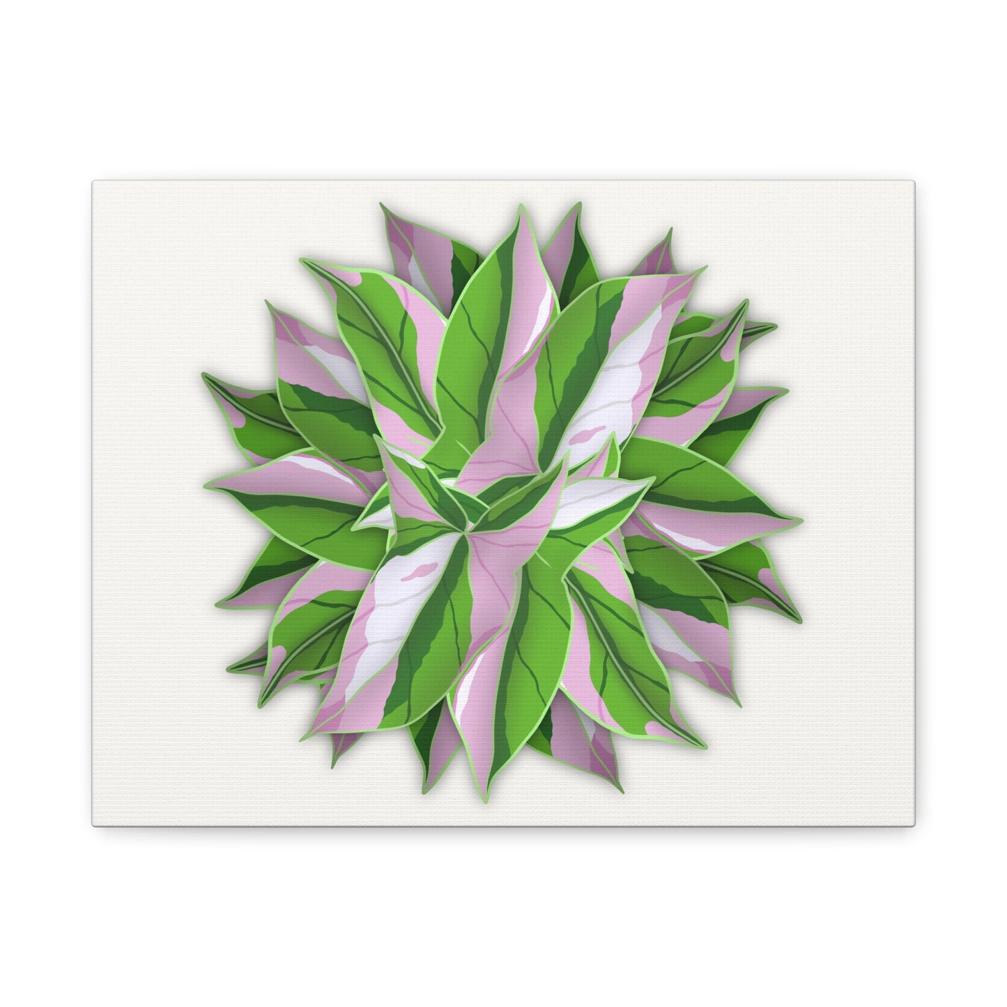 Syngonium Tricolor Pattern Canvas Print – Botanical Wall Art