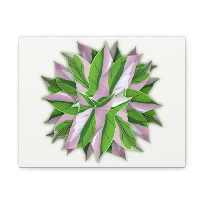 Syngonium Tricolor Pattern Canvas Print – Botanical Wall Art
