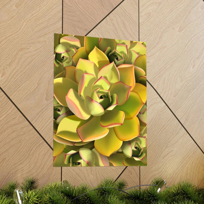 Noble Aeonium Succulent Pattern Botanical Print – Unframed Wall Art