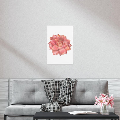 Graptosedum California Sunset Succulent Botanical Print – Unframed Wall Art