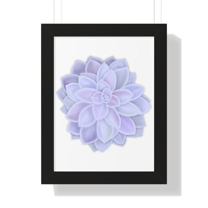 Graptopetalum Murasaki Succulent Framed Print – Botanical Wall Art