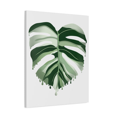 Melting Monstera Albo Canvas Print – Botanical Wall Art