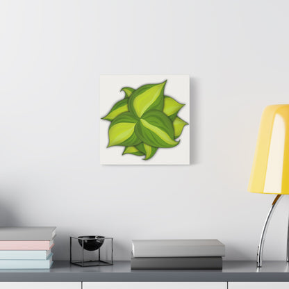 Philodendron Brasil Canvas Print – Botanical Wall Art