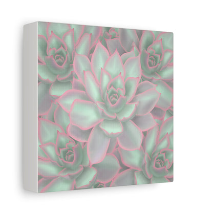 Echeveria Violet Queen Succulent Pattern Canvas Print – Botanical Wall Art
