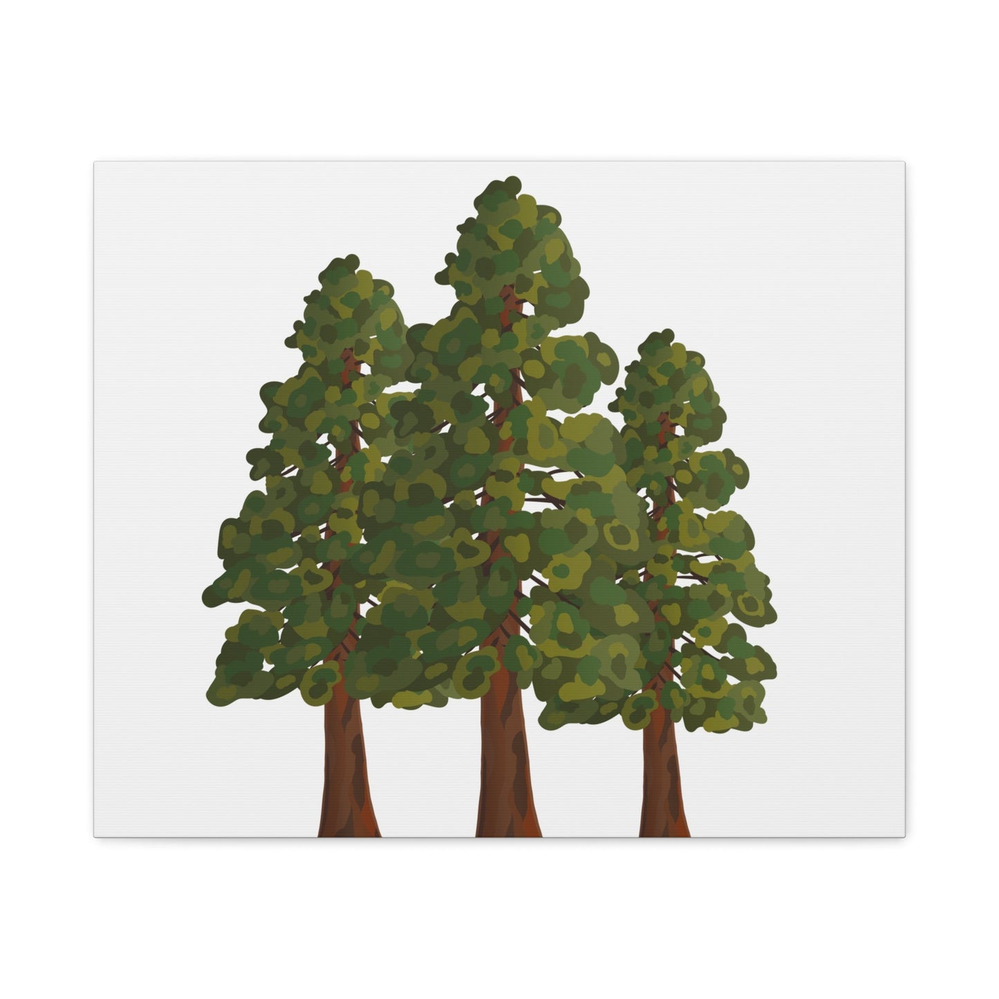 Coastal Redwood Canvas Print – Wall Art
