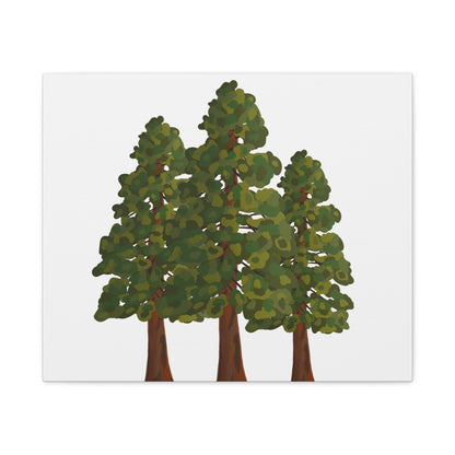 Coastal Redwood Canvas Print – Wall Art