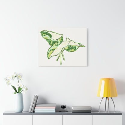 Marble Syngonium Canvas Print – Botanical Wall Art