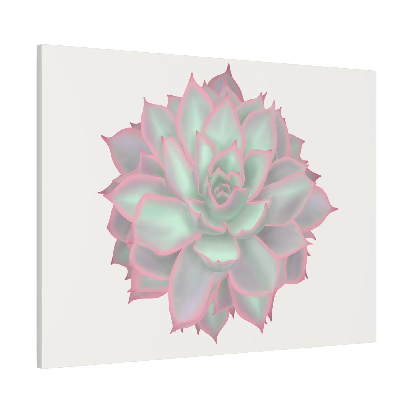 Echeveria Violet Queen Succulent Canvas Print – Botanical Wall Art
