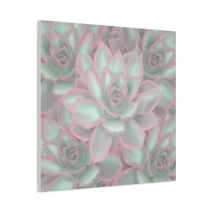 Echeveria Violet Queen Succulent Pattern Canvas Print – Botanical Wall Art