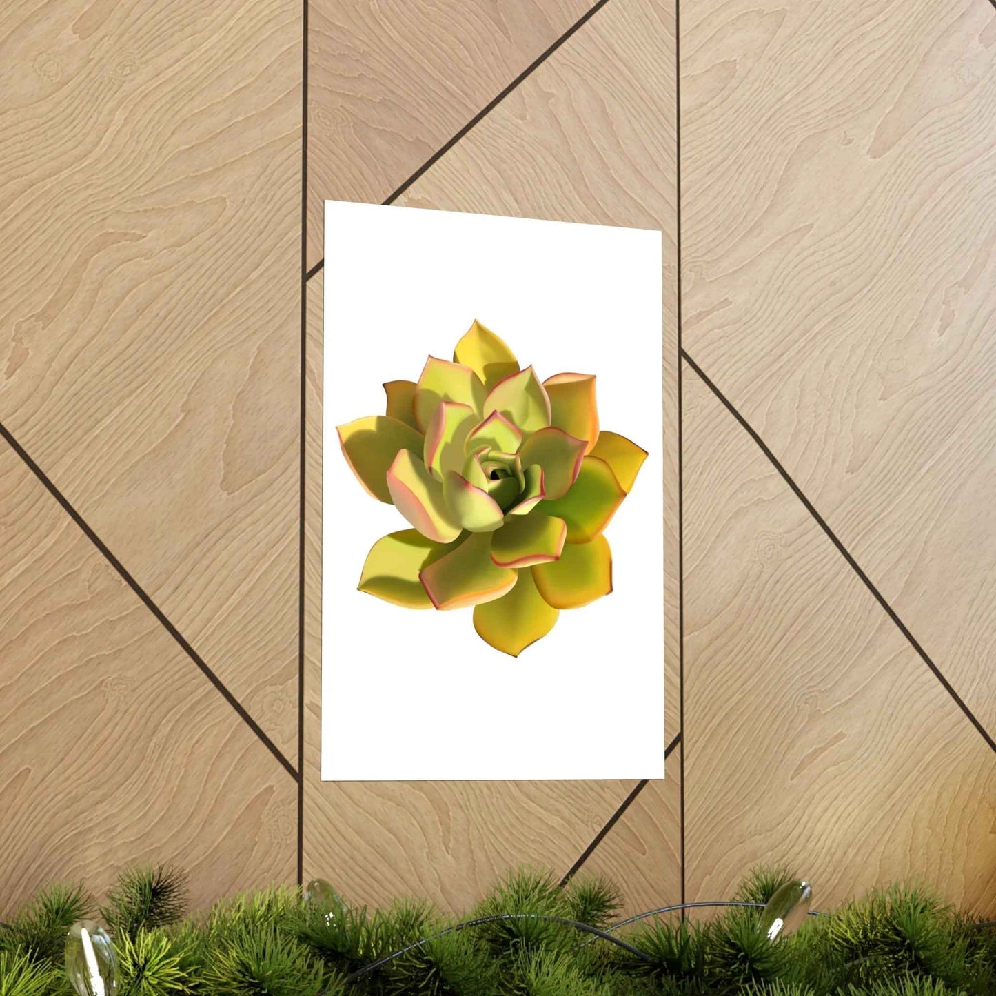 Noble Aeonium Succulent Botanical Print – Unframed Wall Art