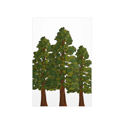 Coastal Redwood Print – Unframed Wall Art