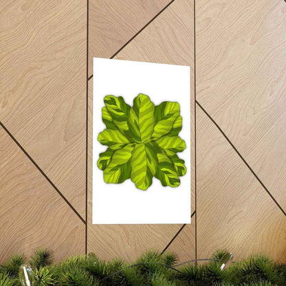 Calathea Yellow Fusion Botanical Print – Unframed Wall Art