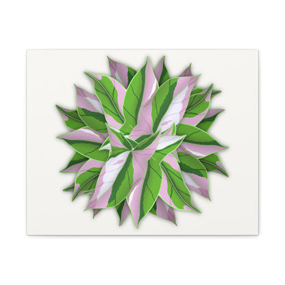 Syngonium Tricolor Pattern Canvas Print – Botanical Wall Art