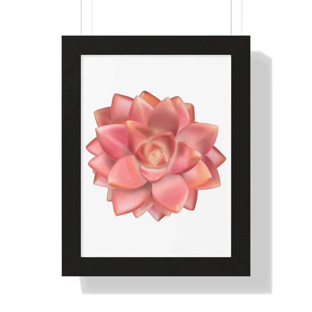 Graptosedum California Sunset Succulent Framed Print – Botanical Wall Art