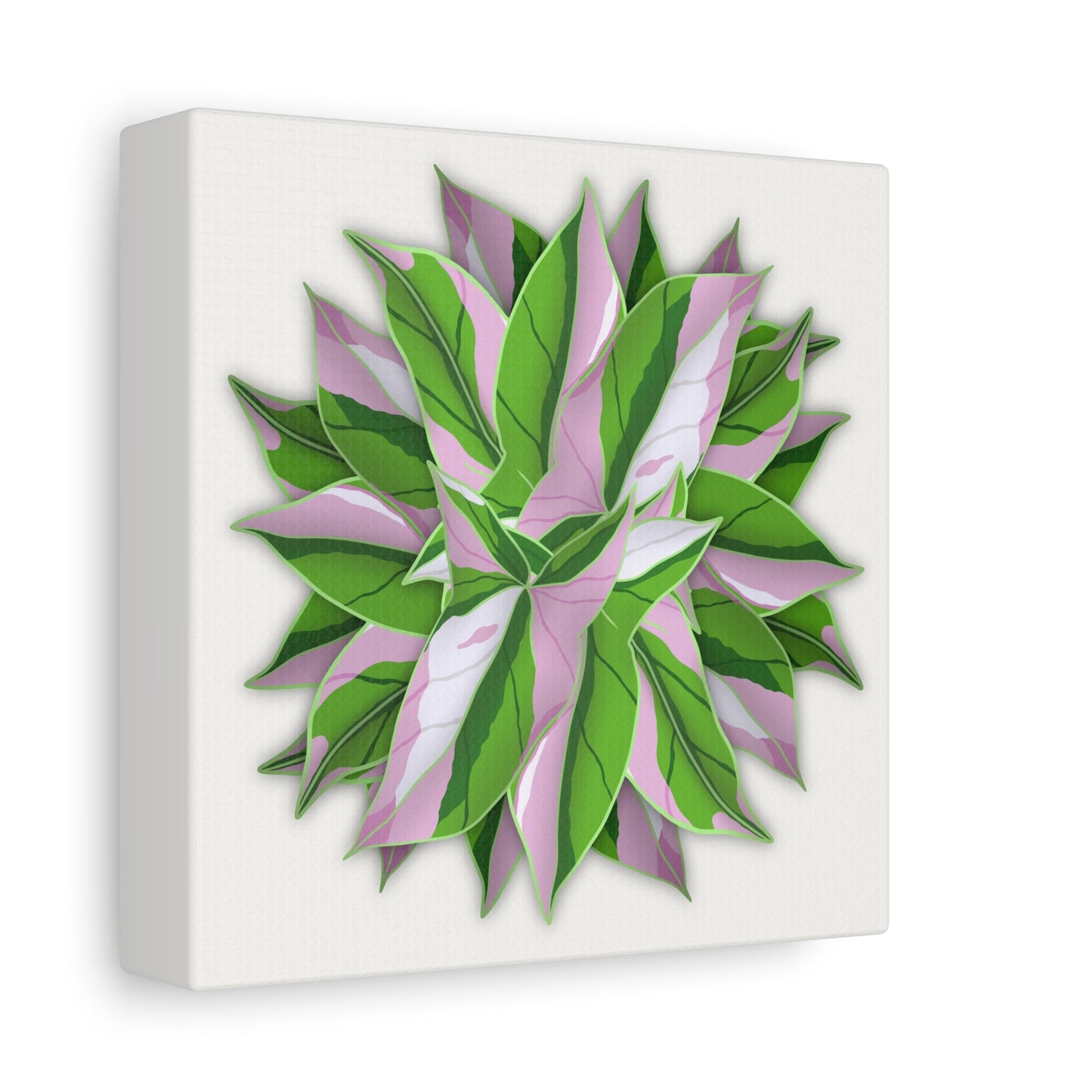Syngonium Tricolor Pattern Canvas Print – Botanical Wall Art