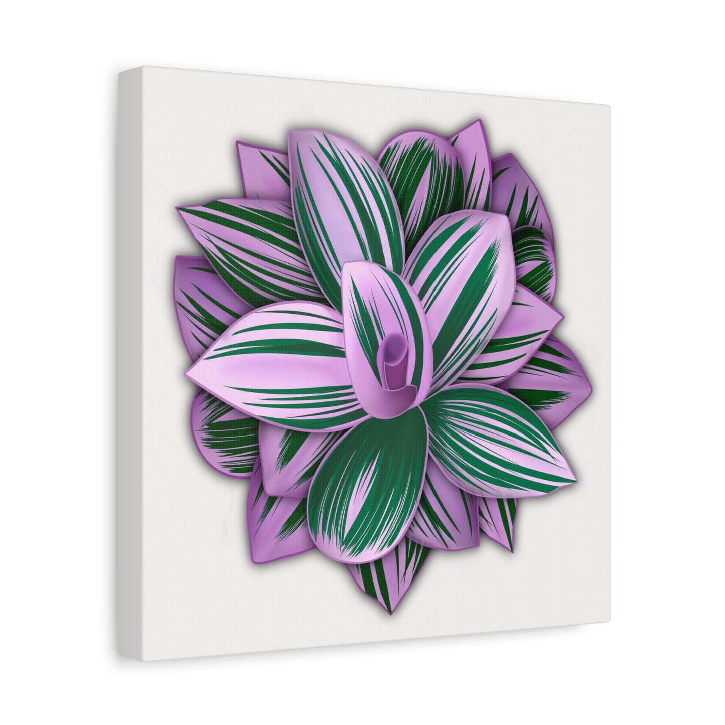 Tradescantia Nanouk Canvas Print – Botanical Wall Art