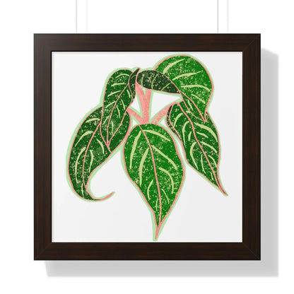 Aglaonema Sparkling Sarah Framed Print – Botanical Wall Art