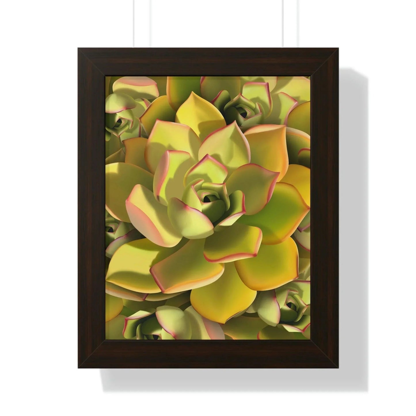 Noble Aeonium Succulent Pattern Framed Print – Botanical Wall Art
