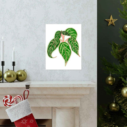 Aglaonema Sparkling Sarah Botanical Print – Unframed Wall Art