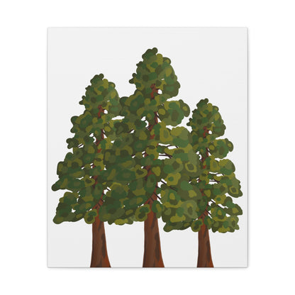 Coastal Redwood Canvas Print – Wall Art
