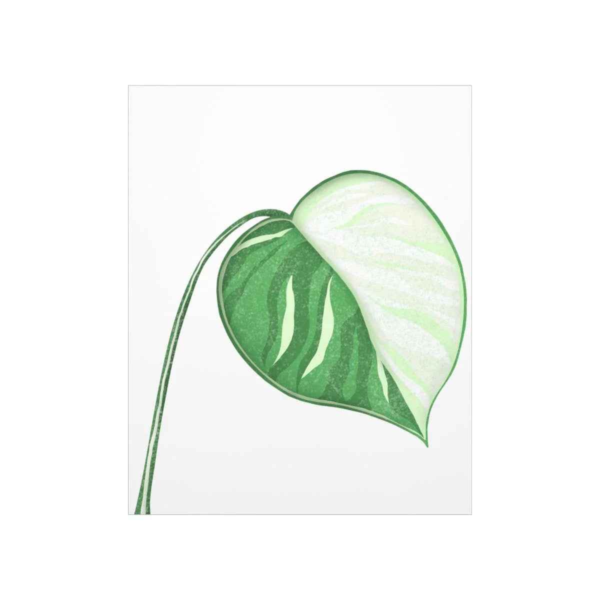 Monstera Albo Botanical Print – Unframed Wall Art