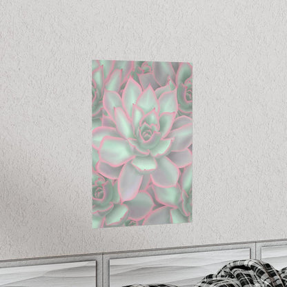 Echeveria Violet Queen Succulent Pattern Botanical Print – Unframed Wall Art