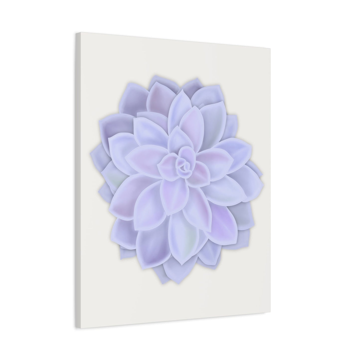 Graptopetalum Murasaki Succulent Canvas Print – Botanical Wall Art