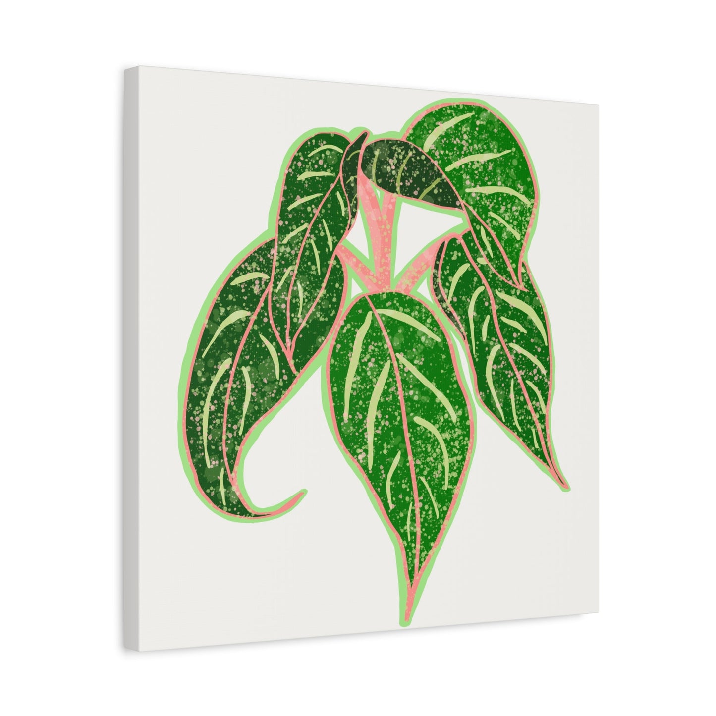 Aglaonema Sparkling Sarah Canvas Print – Botanical Wall Art
