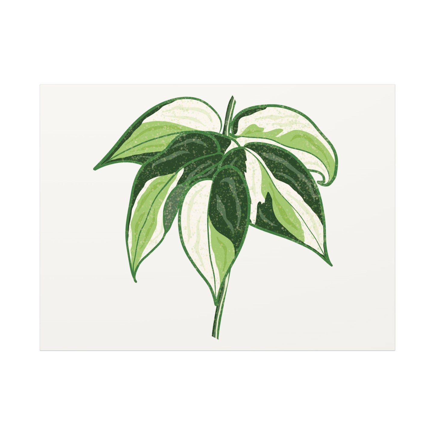 Philodendron Cream Splash Canvas Print – Botanical Wall Art