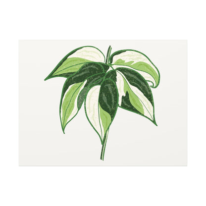 Philodendron Cream Splash Canvas Print – Botanical Wall Art