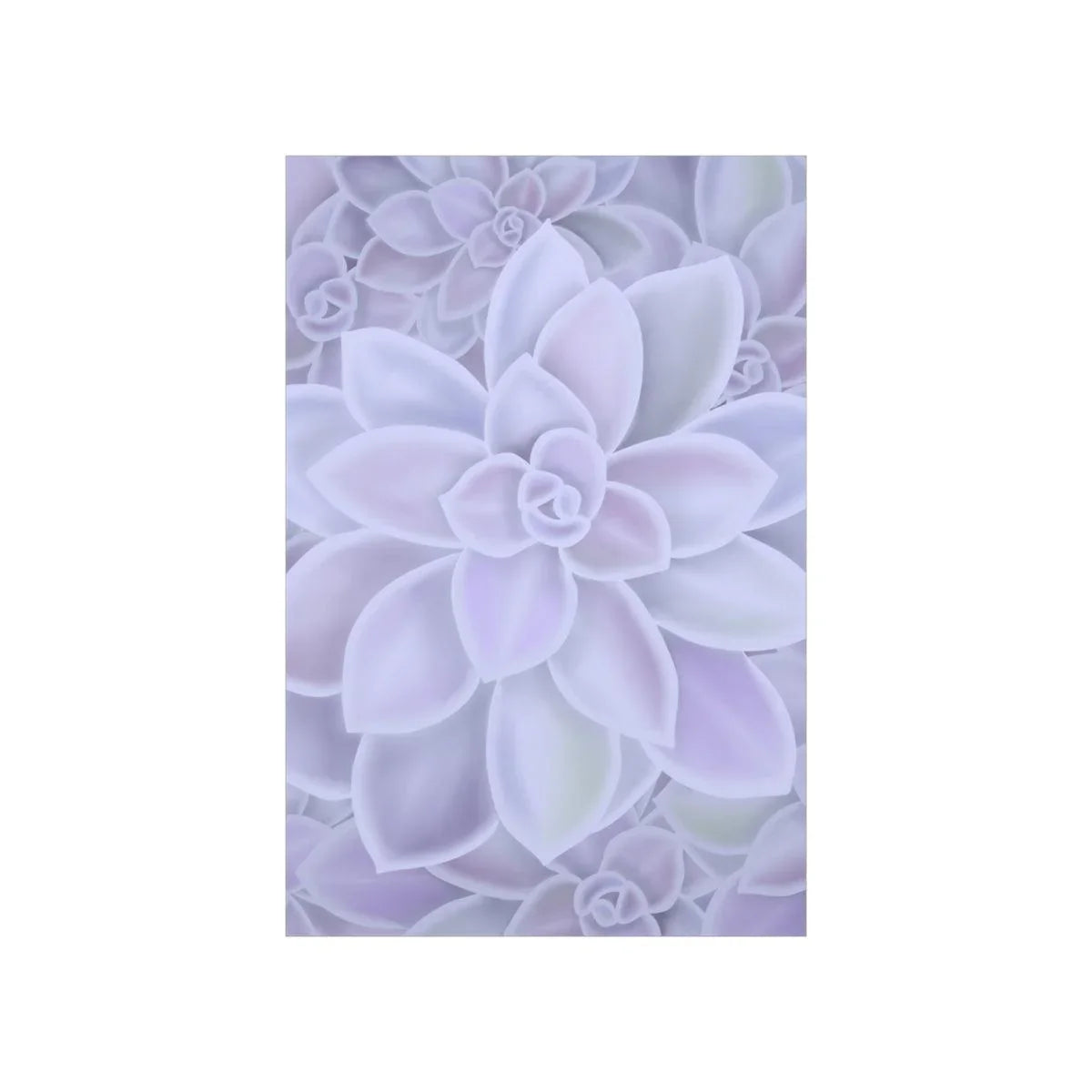 Graptopetalum Murasaki Succulent Pattern Botanical Print – Unframed Wall Art