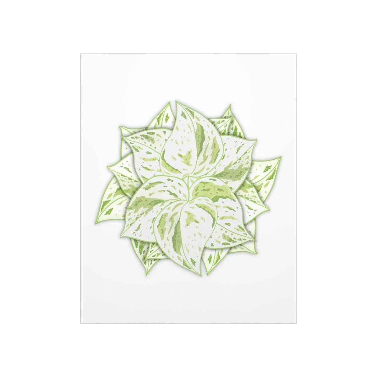 Snow Queen Pothos Botanical Print – Unframed Wall Art