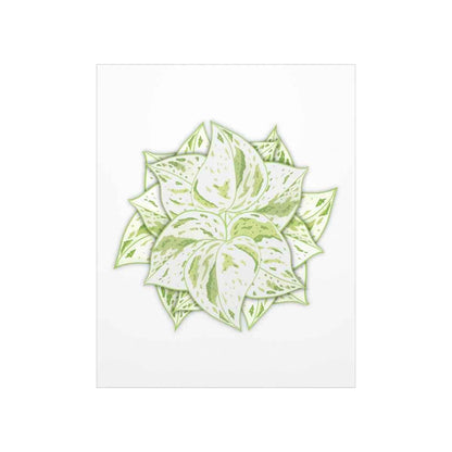 Snow Queen Pothos Botanical Print – Unframed Wall Art