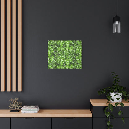 Aglaonema Pictum Canvas Print – Botanical Wall Art