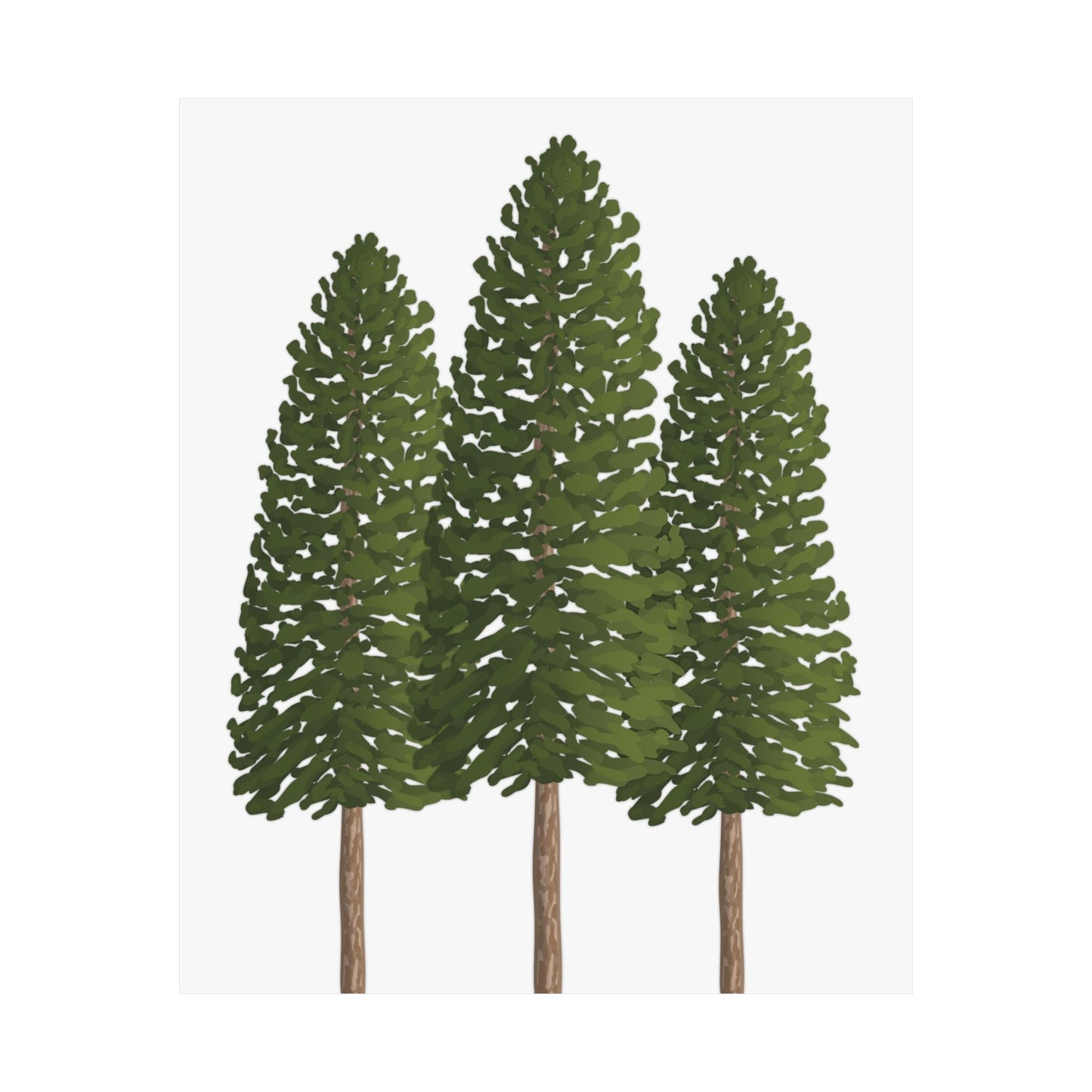 Ponderosa Pine Print – Unframed Wall Art