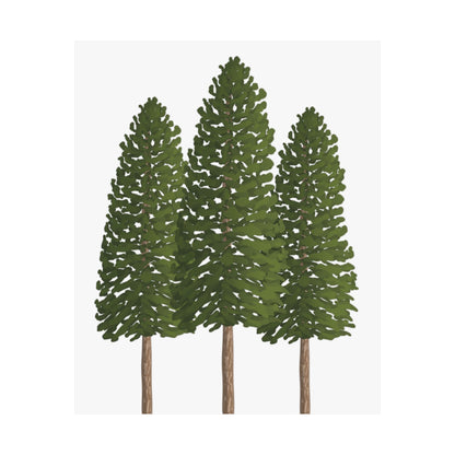 Ponderosa Pine Print – Unframed Wall Art