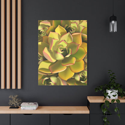 Noble Aeonium Succulent Pattern Canvas Print – Botanical Wall Art