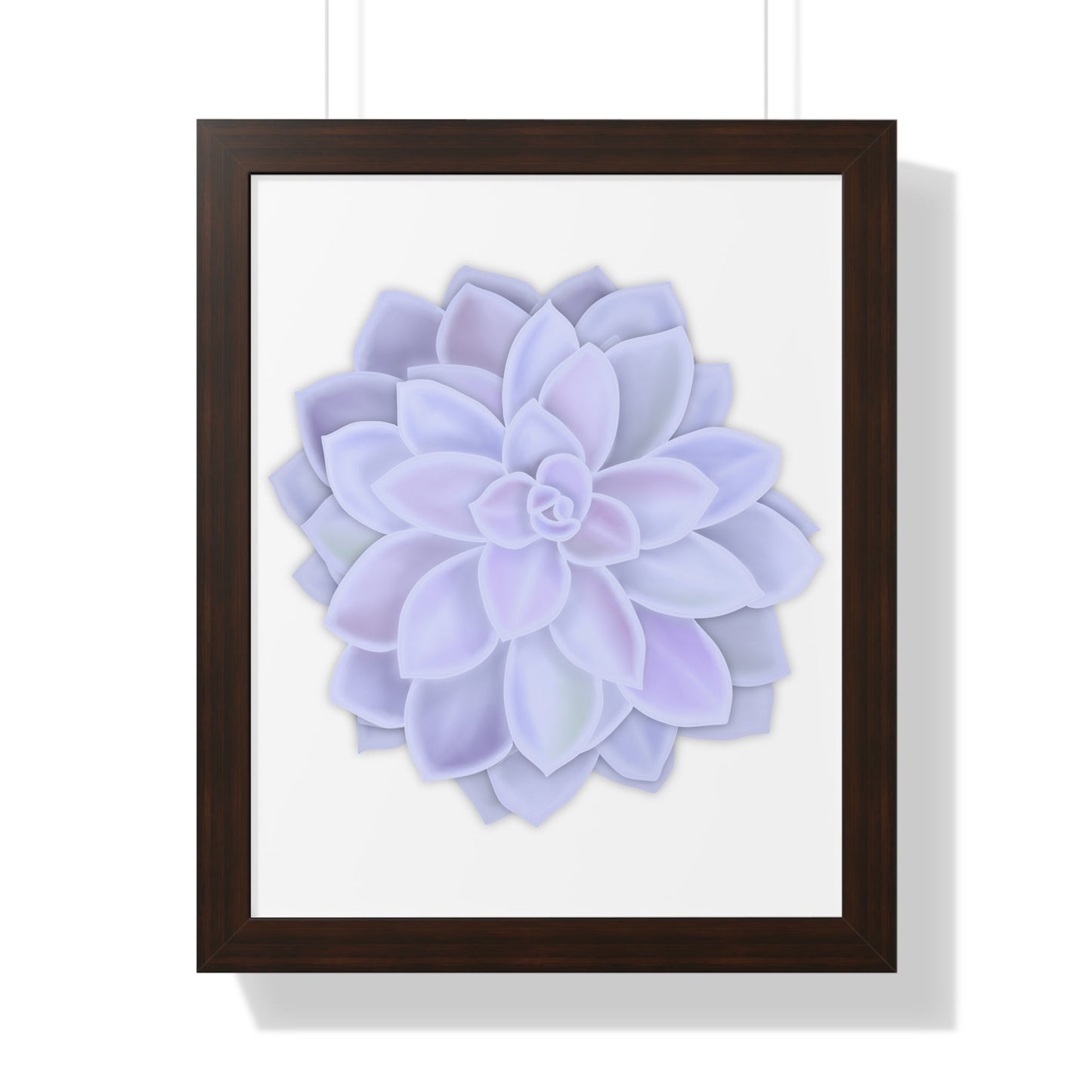 Graptopetalum Murasaki Succulent Framed Print – Botanical Wall Art