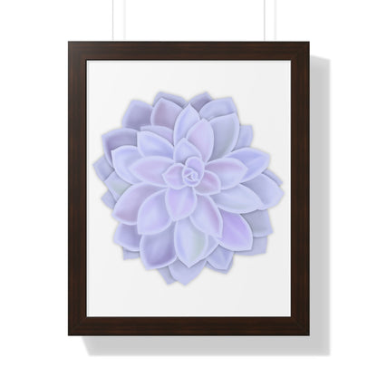 Graptopetalum Murasaki Succulent Framed Print – Botanical Wall Art