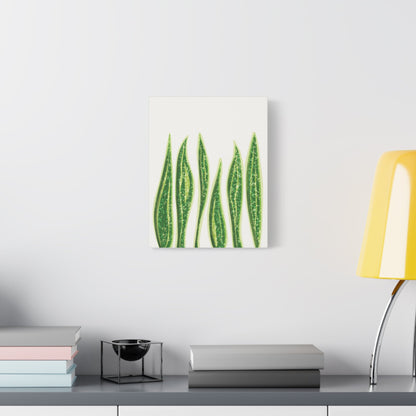 Snake Plant Canvas Print – Botanical Wall Art