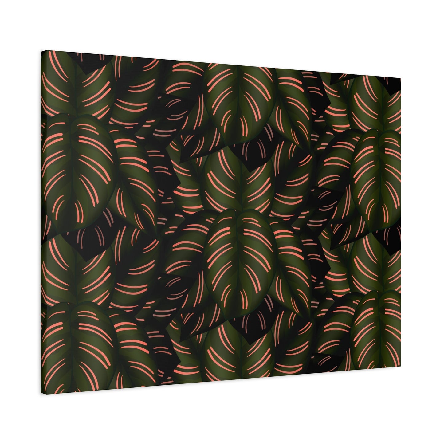 Calathea Pinstripe Pattern Canvas Print – Botanical Wall Art