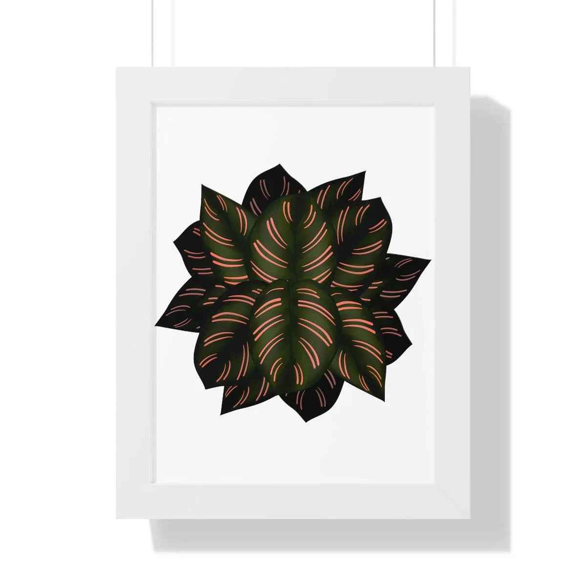 Calathea Pinstripe Framed Print – Botanical Wall Art