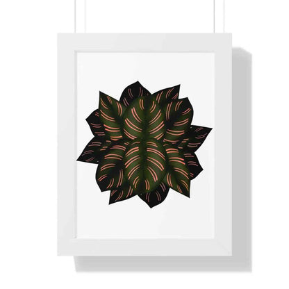 Calathea Pinstripe Framed Print – Botanical Wall Art