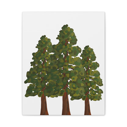 Coastal Redwood Canvas Print – Wall Art