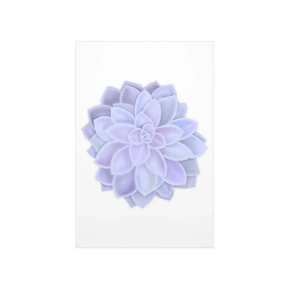 Graptopetalum Murasaki Succulent Botanical Print – Unframed Wall Art