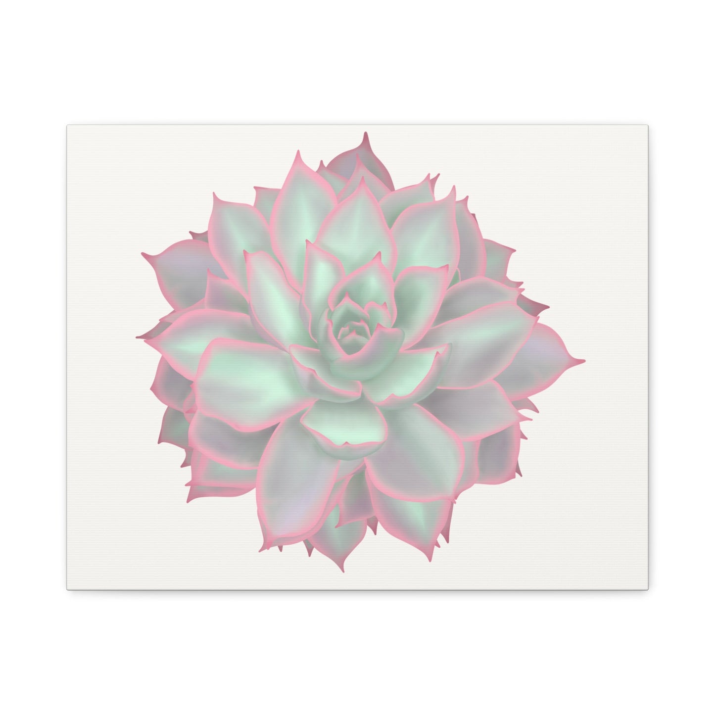 Echeveria Violet Queen Succulent Canvas Print – Botanical Wall Art